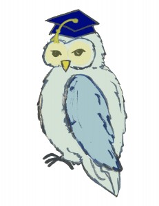 owl copy