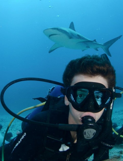 phillip with sharks