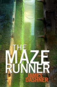 If you’re looking for an adventurous book . . . try James Dashner’s series The Maze Runner